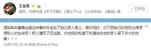 王宝强怒骂肇事逃逸者 王宝强家人车祸身亡系弟妹_王宝强个人资料