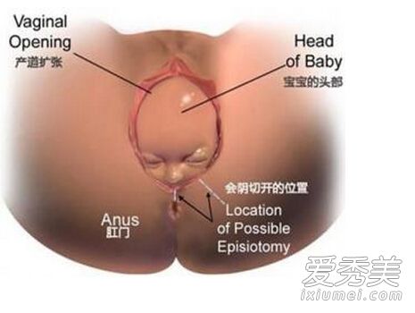 ������ʲô��״�ģ�����Ů���Ĵ�˽�����������˽����_������ʲô��״