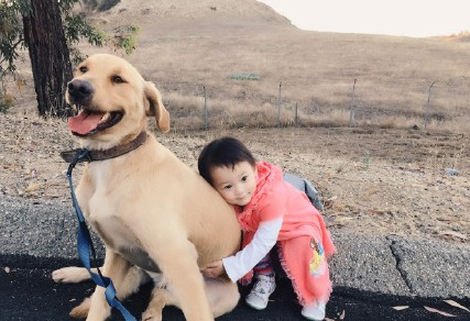 �ּ��м������ӣ��ּ�СŮ�������������_�ּ�������˭