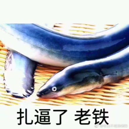 ʲô ߱_齷¼