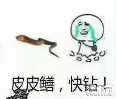 ƤƤ��������ʲô��?ƤƤ������ʲô��˼?_ƤƤ����������