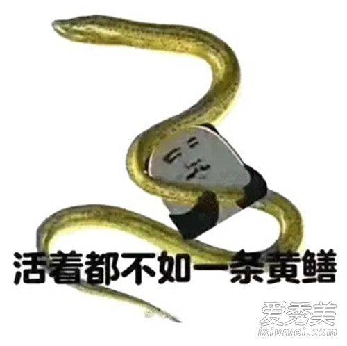 ƤƤ��������ʲô��?ƤƤ������ʲô��˼?_ƤƤ����������