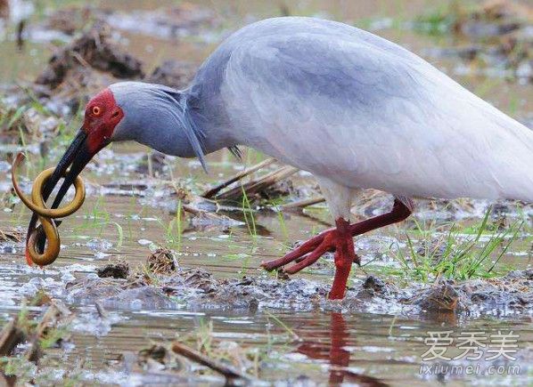 ����������ʲô��?����������ʲô��?������ô��?_�������¼�