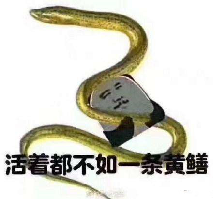 Żֱô ô_ô
