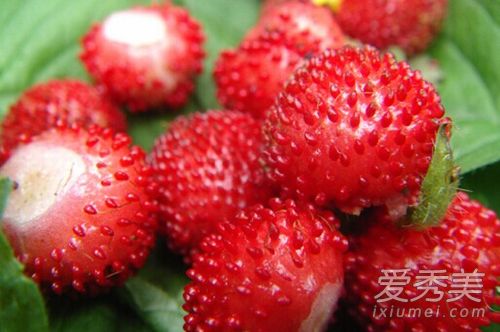 ��ݮ�Ͳ�ݮ��ʲô���� ��ݮ���ֵ�����