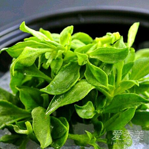 ������ʲô�˳�����ʲô�ô� ���ݵ�Ӫ����ֵ