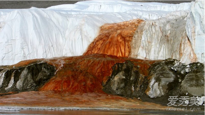 �ϼ�Ѫ�ٲ��ҿ� Ѫ�ٲ��������γɵ�