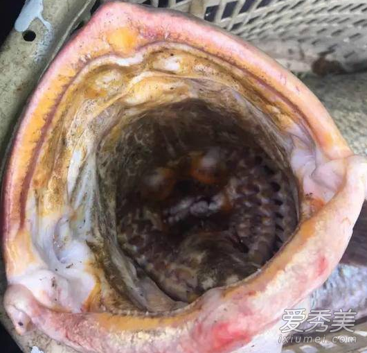 �ƴ����ǻƻ����� �ƴ������Ǯһ�� �ƴ���ͻƻ�����������