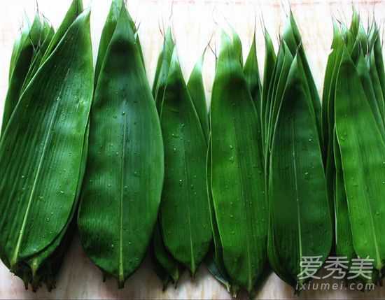 ��Ҷ���ļ��� ��Ҷ��ô��ѡ