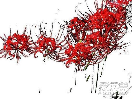 �˰���������������?�˰��������Ľ���