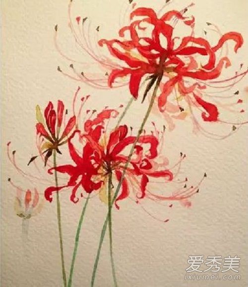 �˰���������������?�˰��������Ľ���