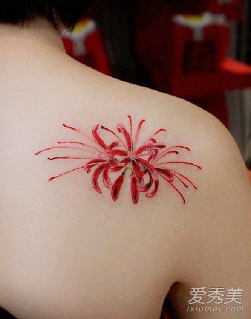 �˰���������������?�˰��������Ľ���