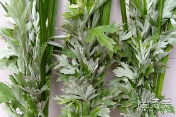 艾草可以驱除蚊子吗 艾草驱蚊的小偏方