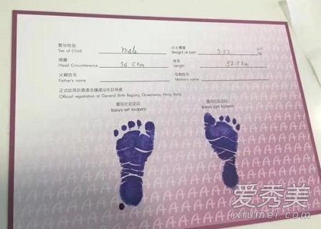 �����ɶ�̥���� �����ɸ�������