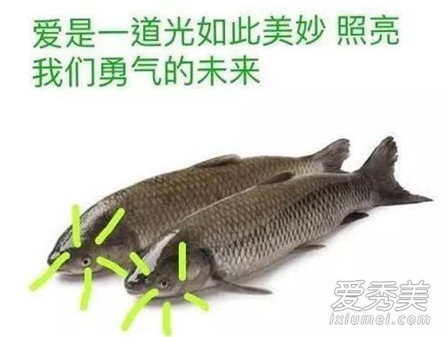 Ĺԭȫ һζԭ