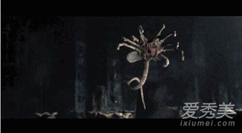 ������Լ��ɾ��6����������������Կ� ������Լ�Ľ�β��ʲô��˼