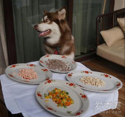 ��˼�ϵĹ���ɶƷ�� ��˼�ϵĹ�ֵ����Ǯ