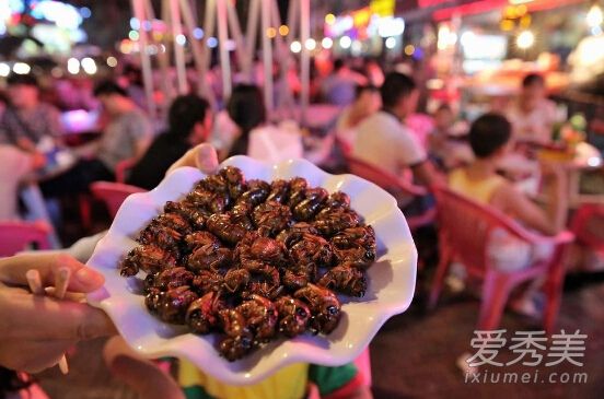 ֪�˺��Ӫ����ֵ ֪�˺�Ĺ�Ч������