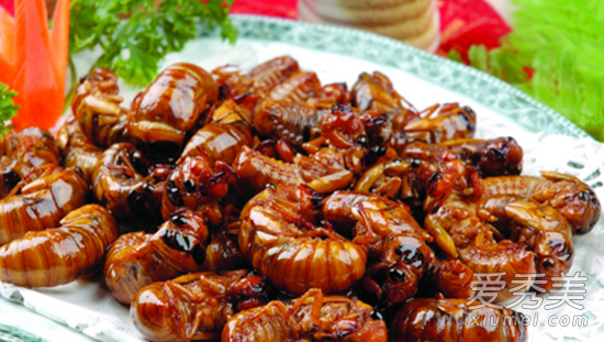 ֪�˺��Ӫ����ֵ ֪�˺�Ĺ�Ч������