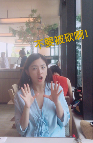 苍梧鸟是什么鸟是什么品种 苍梧鸟哪里有卖 苍梧鸟现实有吗