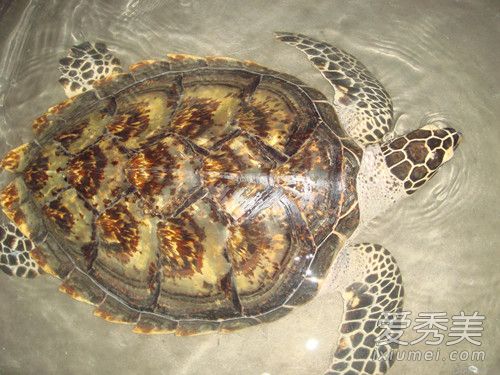 �����ʲô����?����Ǻ�����