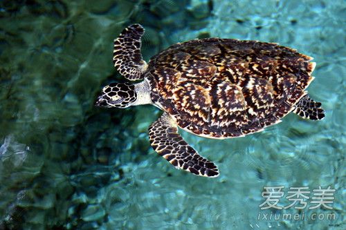 �����ʲô����?����Ǻ�����