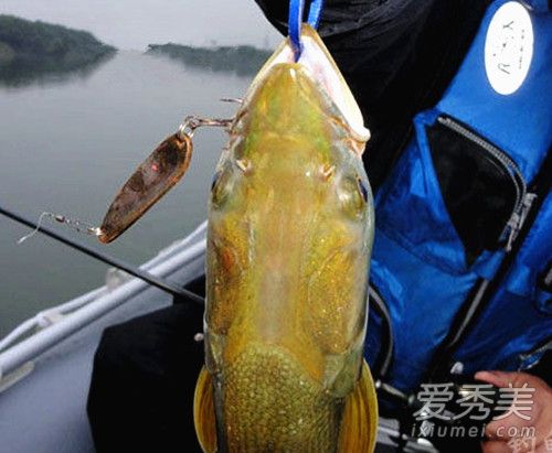 ����̶��� ����������ô���ó���