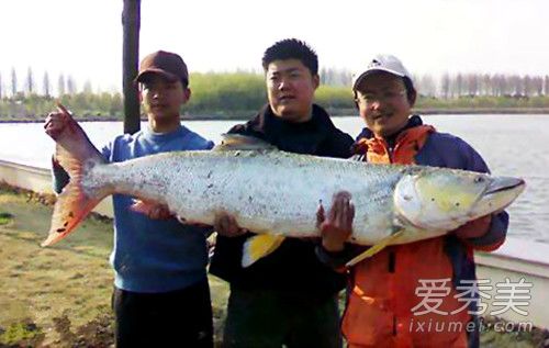 ����̶��� ����������ô���ó���