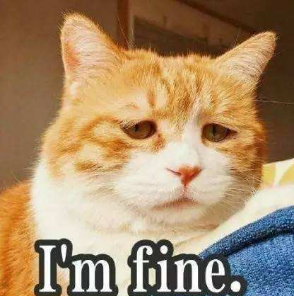 ���ϻ�����ɶ��˼ ���ϻ���������ʲô��