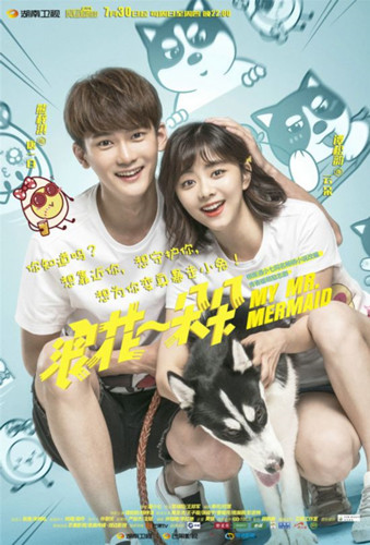 �����̷����ʲô��ϵ ������ݹ��ĵ��Ӿ�