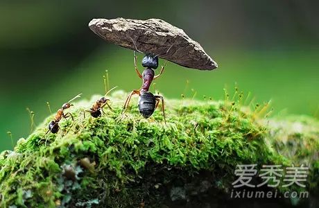 ������������ô���ܳ���?