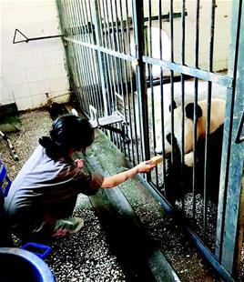 ����èΪʲô�й��� ����è������������