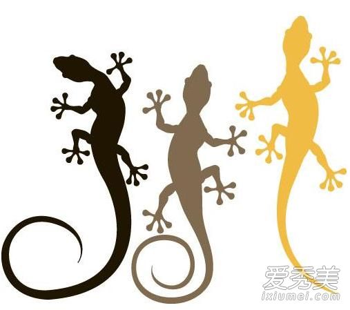 �����бڻ��ò��� �����бڻ���ˮ�ϴ���ʲô����