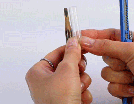 ֲ���㿳��ü����ô�� ֲ���㿳��ü�ʺ�����