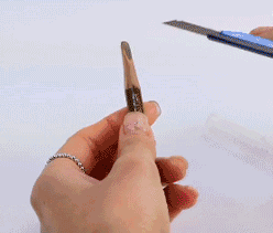 ֲ���㿳��ü����ô�� ֲ���㿳��ü�ʺ�����