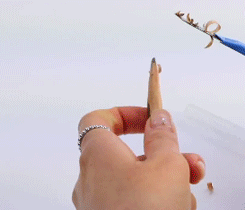 ֲ���㿳��ü����ô�� ֲ���㿳��ü�ʺ�����