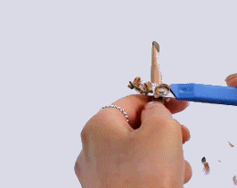 ֲ���㿳��ü����ô�� ֲ���㿳��ü�ʺ�����