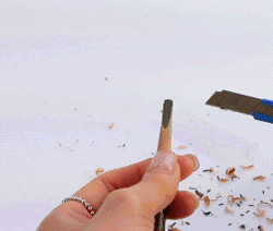 ֲ���㿳��ü����ô�� ֲ���㿳��ü�ʺ�����