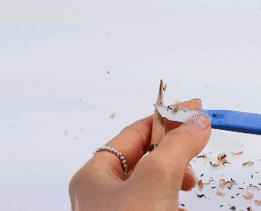 ֲ���㿳��ü����ô�� ֲ���㿳��ü�ʺ�����