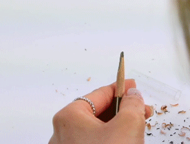 ֲ���㿳��ü����ô�� ֲ���㿳��ü�ʺ�����