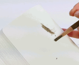 ֲ���㿳��ü����ô�� ֲ���㿳��ü�ʺ�����