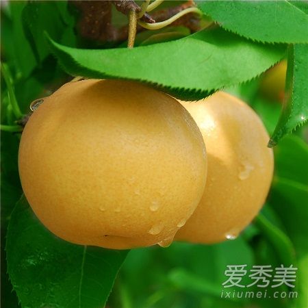 ��ˮ���ѩ���ĸ��� ��ˮ�����������