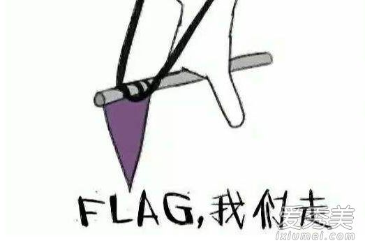 ��flag��ʲô�� ����flag��ʲô��˼