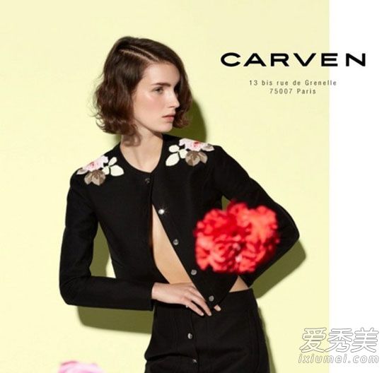 Carven��ʲô���� Carvenʲô����