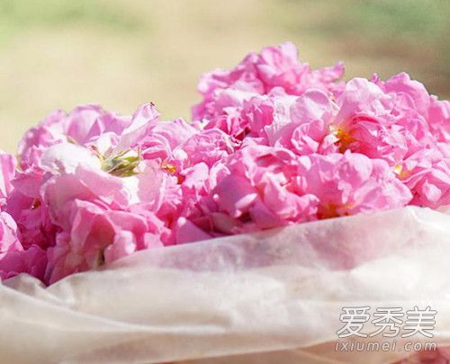 阿芙大马士革玫瑰纯露怎么用 阿芙大马士革玫瑰纯露使用方法介绍