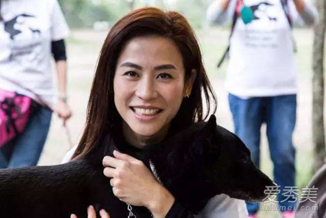 使徒行者2施嘉莉扮演者是谁 扮演者宣萱个人资料微博介绍