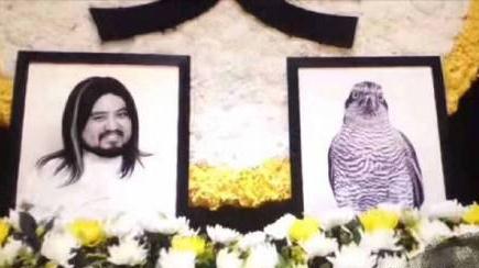 羞羞的铁拳秀念头七是什么梗 秀念头七是什么意思