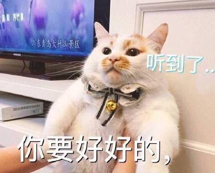 ¥¥ʲôƷֵè ¥¥è̬ͼȫ