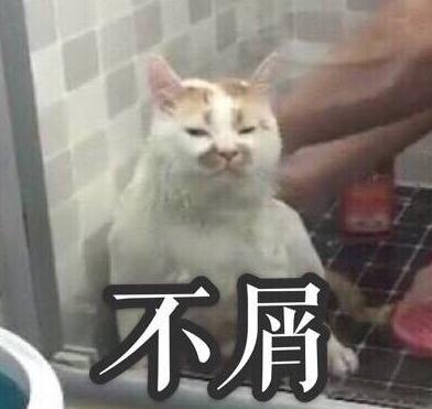 ¥¥ʲôƷֵè ¥¥è̬ͼȫ