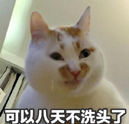¥¥ʲôƷֵè ¥¥è̬ͼȫ
